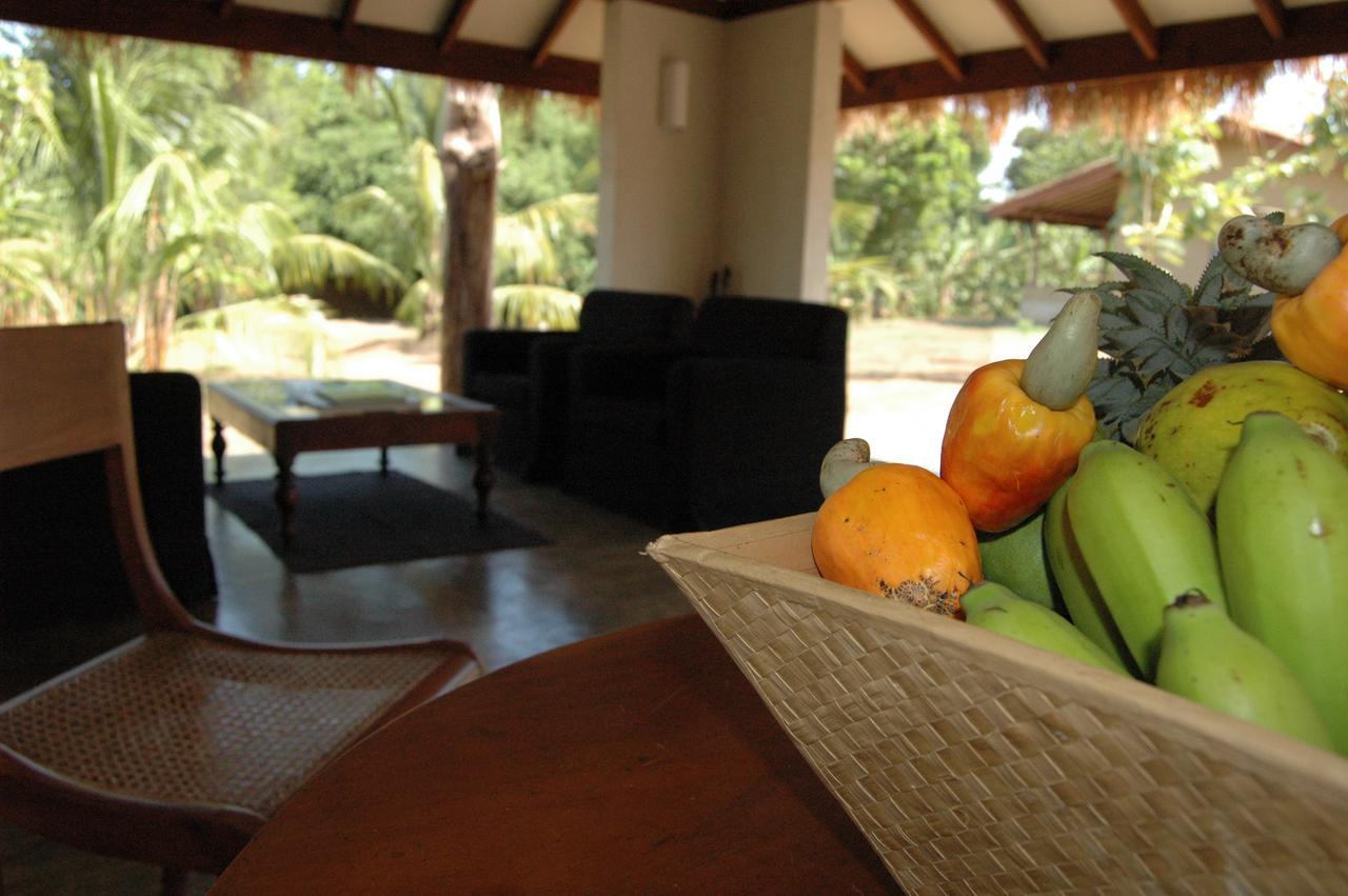 Wildescape, Yala Blocks 3 & 5 Villa Buttala Exterior photo